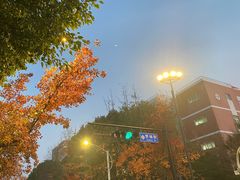 -胖哥俩肉蟹煲(杭州下沙学林街店)