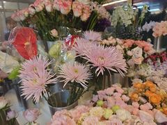 -怡花宜木鲜花店(朝阳路店)