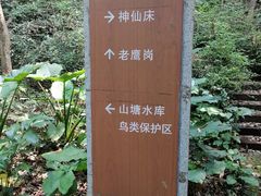 -滴水岩森林公园