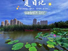 -前关湿地公园