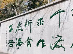 -三亚南山文化旅游区