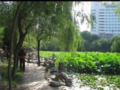 -莲湖公园
