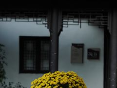 -南京市民俗博物馆(甘熙故居)