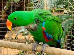 -大连森林动物园