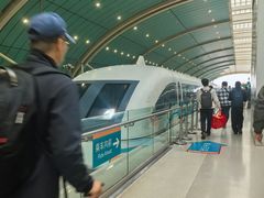 -龙阳路磁悬浮列车总站-停车场