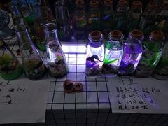 -海上海弘基休闲广场