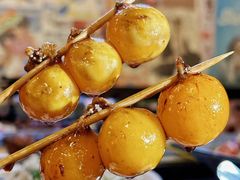 -王氏炉匠·烧鸟·居酒屋(双井店)