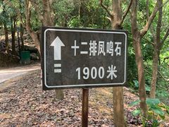 -清溪森林公园