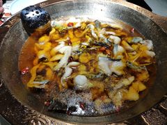 -雲蜀龙阁·金牌水煮鱼(方庄店)