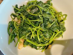 炒辣椒叶-客语客家菜(东山口店)