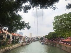 -马六甲鸡场街