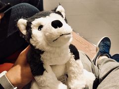 -宜家家居(哈尔滨商场店)