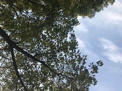 -上海市龙华烈士陵园