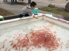 -白塘生态植物园