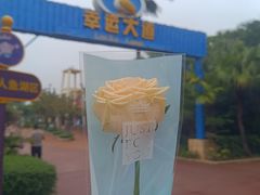 -珠海海泉湾神秘岛亲子乐园