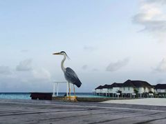 -中央格兰德岛温泉度假酒店 - 全包