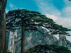 -黄山风景区