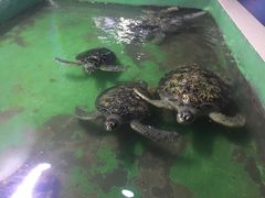 -常州海昌海洋探索馆