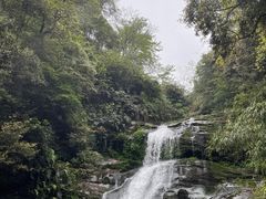 -碧峰峡风景区
