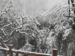 -瓦屋山景区