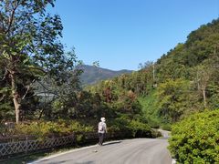 -木兰云雾山
