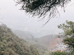 -缙云山景区