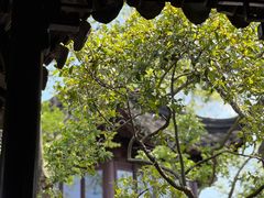 -拙政园