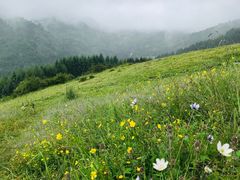 -硗碛藏寨·神木垒景区