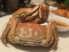 -广州万富希尔顿酒店·感趣自助餐厅·金秋蟹宴生蚝海鲜刺身