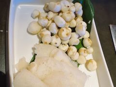 -同仁四季椰子鸡(罗湖国贸店)