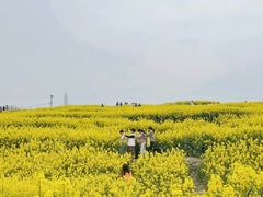 -三圣花乡旅游区