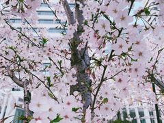 -新天地活力PARK