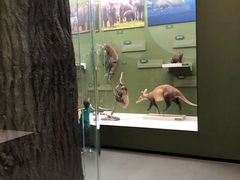 -国家自然博物馆