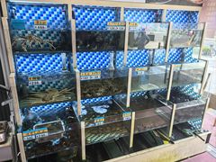-蔚海之都·象山蒸汽海鲜(仙霞路店)