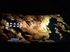 -金逸影城(武汉人信汇IMAX店)