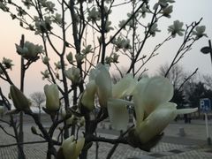 -首都师范大学(良乡校区)