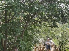 -大岭沟猕猴桃谷风景区