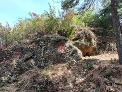 -树山生态村