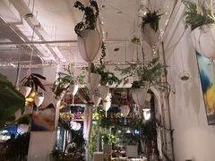 -春树下·树屋花房西餐厅(罍街AS1980店)