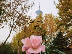 -裕华世纪公园