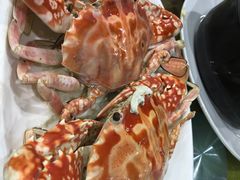 -四川小胡子海鲜(丁村万人海鲜广场店)