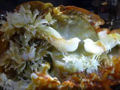 -西安大唐西市博物馆