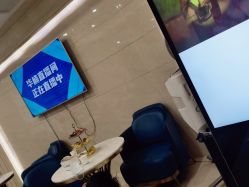 -碧莲盛·不剃发植发