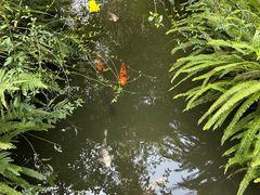 -成都杜甫草堂博物馆
