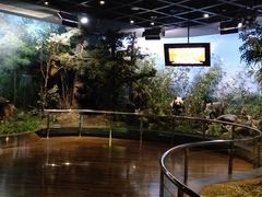 -陕西自然博物馆