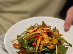 折耳根拌土鸡-渔语鱼新川菜Bistro(万象天地店)