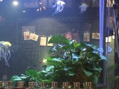 iphone_upload_pic-Strawberry Butterfly草莓蝴蝶日式水果挞