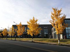 -四川大学(江安校区)