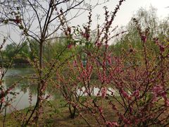 -东郊湿地公园