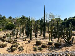 -东莞植物园